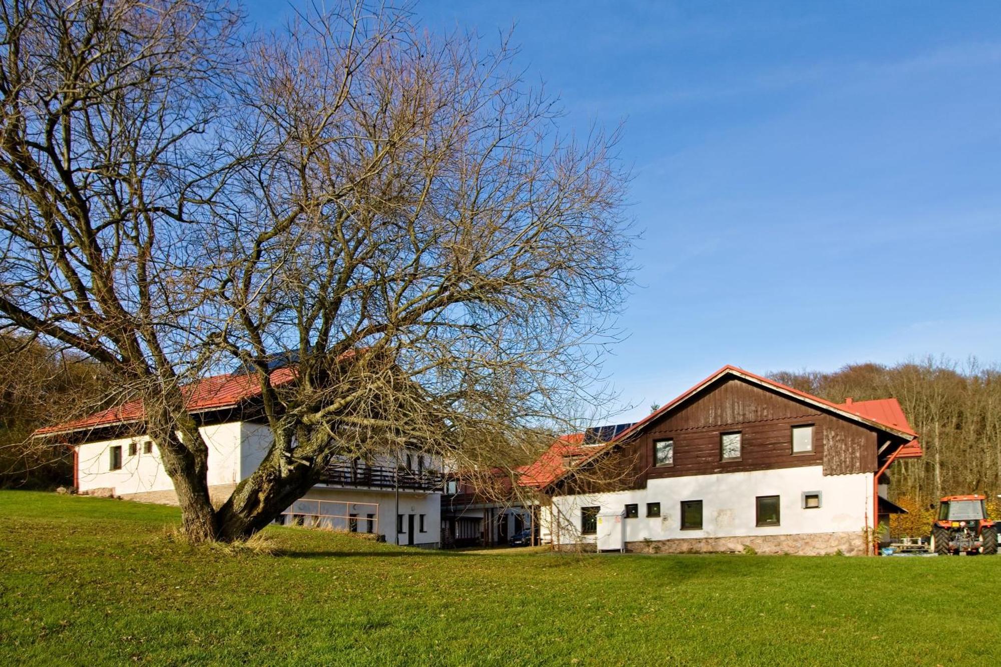 Penzion Hrádek Novy Hradek Exteriér fotografie