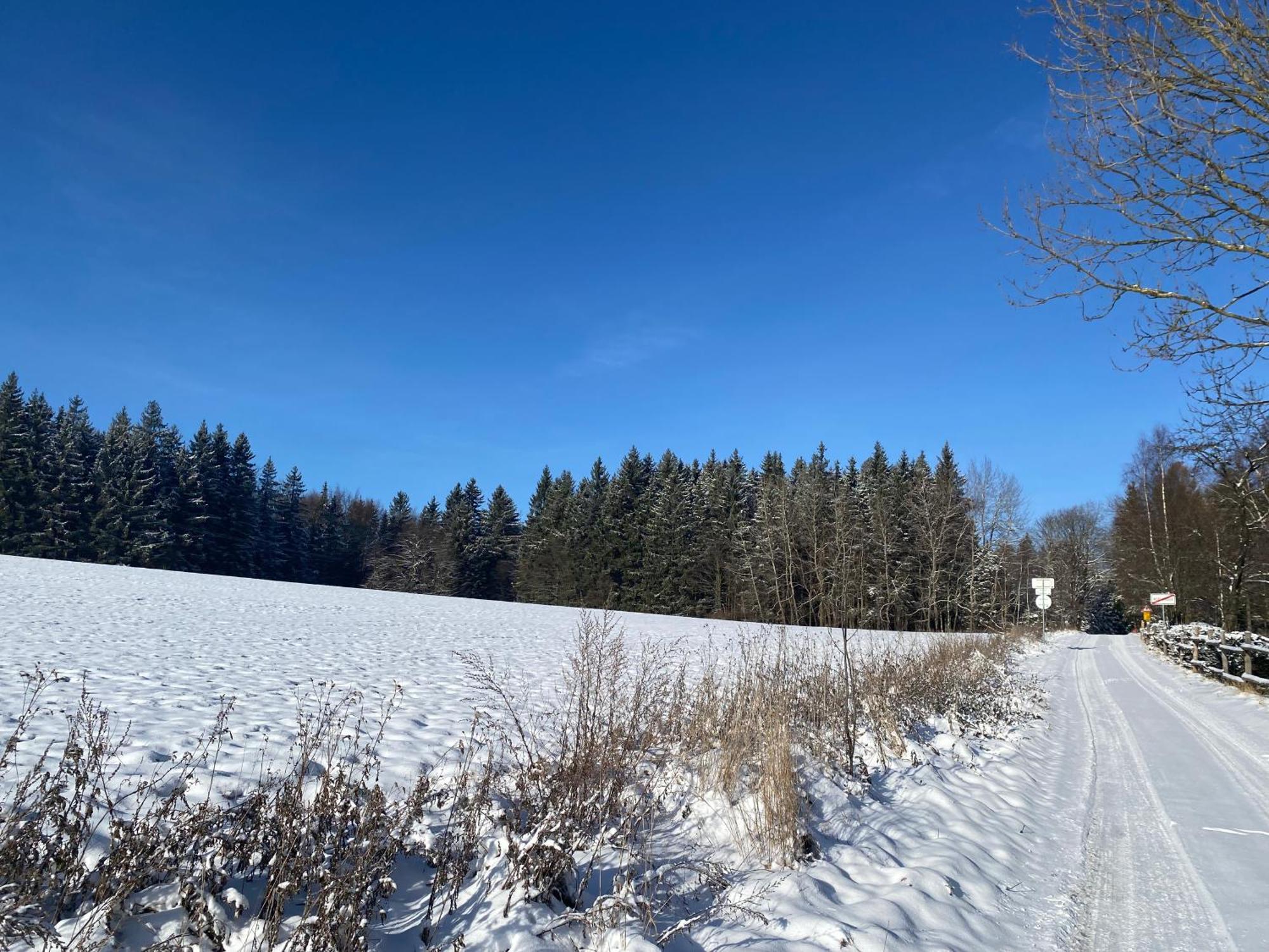 Penzion Hrádek Novy Hradek Exteriér fotografie